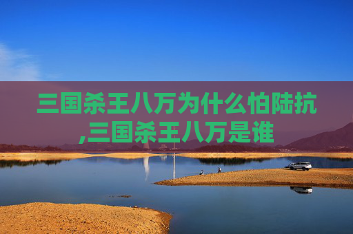 三国杀王八万为什么怕陆抗,三国杀王八万是谁