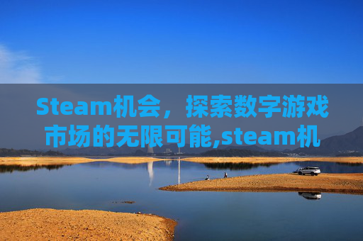 Steam机会，探索数字游戏市场的无限可能,steam机制