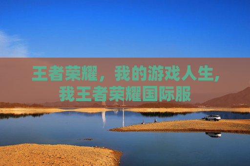 王者荣耀，我的游戏人生,我王者荣耀国际服