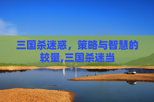 三国杀迷惑，策略与智慧的较量,三国杀迷当