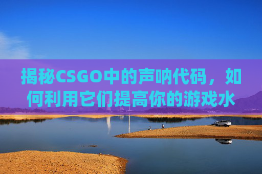 揭秘CSGO中的声呐代码，如何利用它们提高你的游戏水平,csgo 声呐
