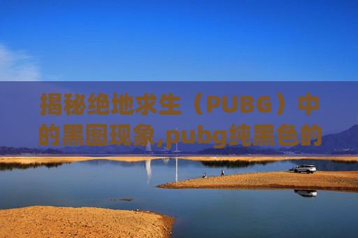 揭秘绝地求生（PUBG）中的黑图现象,pubg纯黑色的人物皮肤