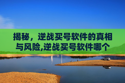 揭秘，逆战买号软件的真相与风险,逆战买号软件哪个好