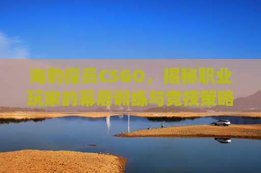 海豹探员CSGO，揭秘职业玩家的幕后训练与竞技策略,csgo海豹突击队探员