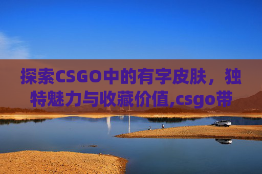 探索CSGO中的有字皮肤，独特魅力与收藏价值,csgo带字的皮肤