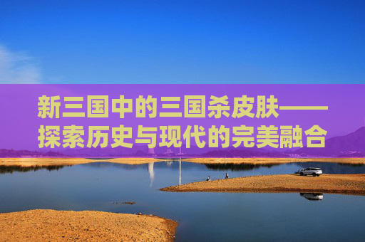 新三国中的三国杀皮肤——探索历史与现代的完美融合,三国杀这个皮肤出自新三国吗