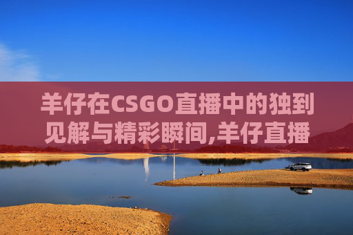 羊仔在CSGO直播中的独到见解与精彩瞬间,羊仔直播间号