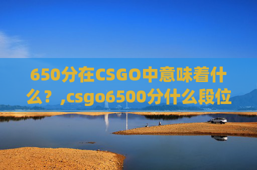 650分在CSGO中意味着什么？,csgo6500分什么段位