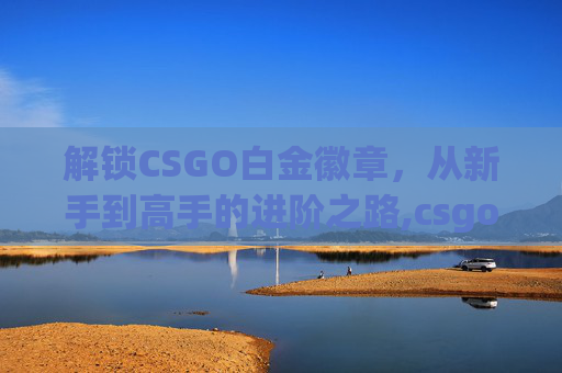 解锁CSGO白金徽章，从新手到高手的进阶之路,csgo白金版
