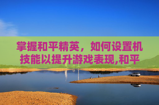 掌握和平精英，如何设置机技能以提升游戏表现,和平精英设置操作教学