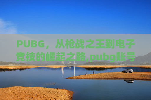 PUBG，从枪战之王到电子竞技的崛起之路,pubg账号交易平台