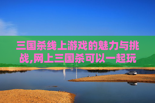 三国杀线上游戏的魅力与挑战,网上三国杀可以一起玩吗