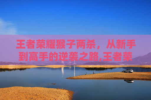 王者荣耀猴子两杀，从新手到高手的逆袭之路,王者荣耀猴子两棍秒敲