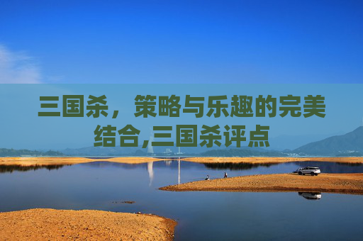 三国杀，策略与乐趣的完美结合,三国杀评点