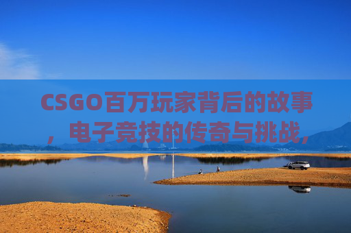 CSGO百万玩家背后的故事，电子竞技的传奇与挑战,csgo百万库存图片