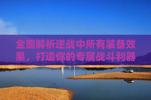 全面解析逆战中所有装备效果，打造你的专属战斗利器！,逆战装备搭配