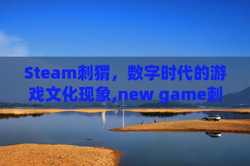 Steam刺猬，数字时代的游戏文化现象,new game刺猬