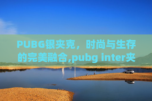 PUBG银夹克，时尚与生存的完美融合,pubg inter夹克