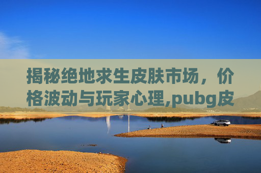揭秘绝地求生皮肤市场，价格波动与玩家心理,pubg皮肤多少钱