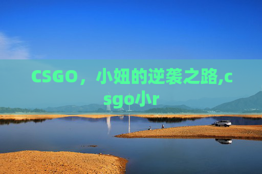 CSGO，小妞的逆袭之路,csgo小r