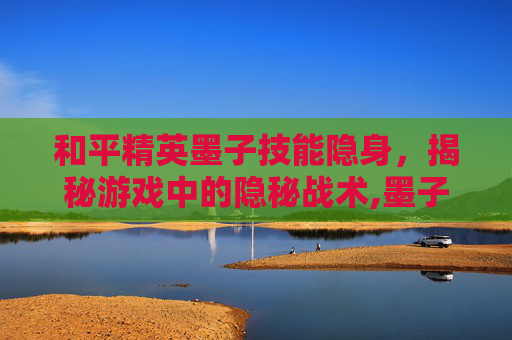 和平精英墨子技能隐身，揭秘游戏中的隐秘战术,墨子 和平漫步技能