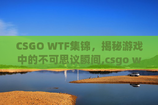 CSGO WTF集锦，揭秘游戏中的不可思议瞬间,csgo wolf
