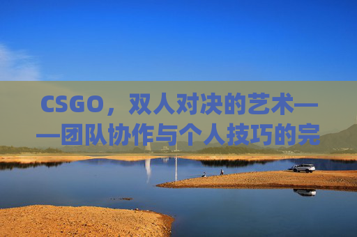 CSGO，双人对决的艺术——团队协作与个人技巧的完美融合,csgo两人对枪图