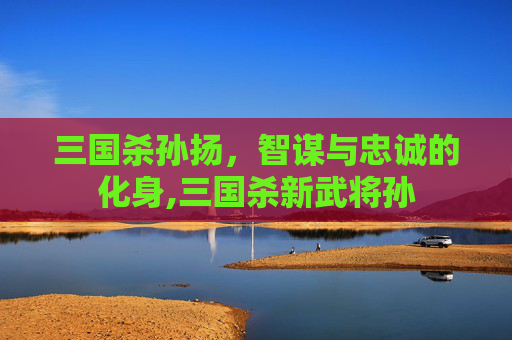 三国杀孙扬，智谋与忠诚的化身,三国杀新武将孙
