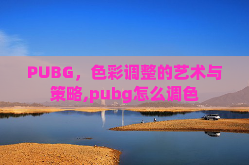 PUBG，色彩调整的艺术与策略,pubg怎么调色