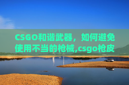 CSGO和谐武器，如何避免使用不当的枪械,csgo枪皮肤和谐