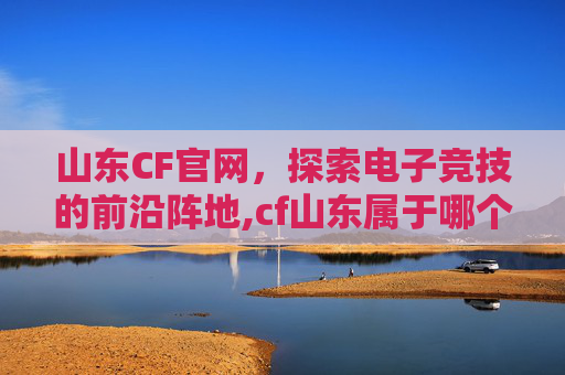 山东CF官网，探索电子竞技的前沿阵地,cf山东属于哪个大区