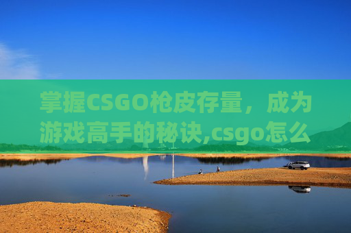 掌握CSGO枪皮存量，成为游戏高手的秘诀,csgo怎么看枪皮