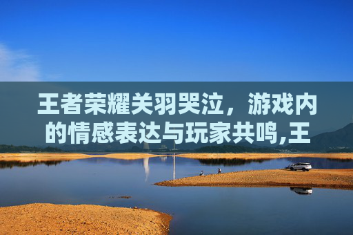 王者荣耀关羽哭泣，游戏内的情感表达与玩家共鸣,王者荣耀关羽说的话大全