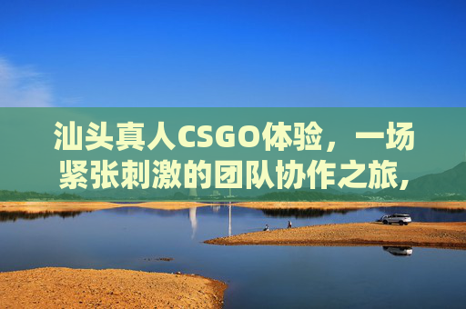 汕头真人CSGO体验，一场紧张刺激的团队协作之旅,CS真人