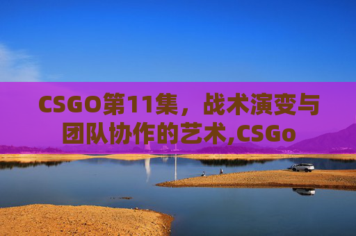 CSGO第11集，战术演变与团队协作的艺术,CSGo