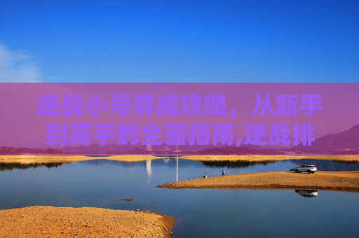 逆战小号养成攻略，从新手到高手的全面指南,逆战排位小号