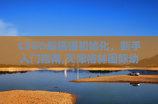 CSGO躲猫猫初始化，新手入门指南,天津格林国际幼儿园学费