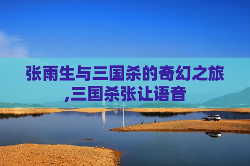 张雨生与三国杀的奇幻之旅,三国杀张让语音