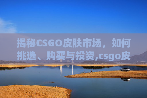 揭秘CSGO皮肤市场，如何挑选、购买与投资,csgo皮肤图案模板查询