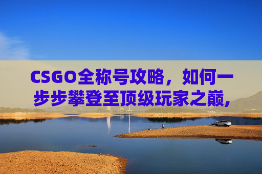 CSGO全称号攻略，如何一步步攀登至顶级玩家之巅,CSGO全称