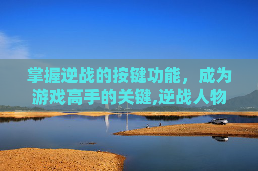掌握逆战的按键功能，成为游戏高手的关键,逆战人物技能怎么改键位