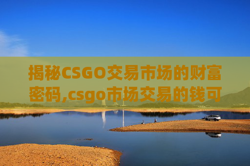 揭秘CSGO交易市场的财富密码,csgo市场交易的钱可以提吗