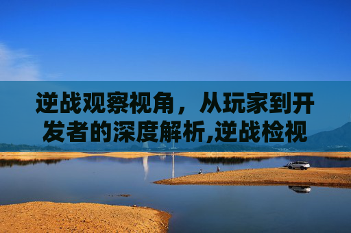 逆战观察视角，从玩家到开发者的深度解析,逆战检视