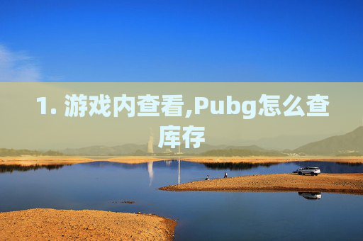 1. 游戏内查看,Pubg怎么查库存