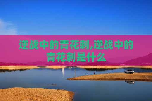 逆战中的青花刺,逆战中的青花刺是什么