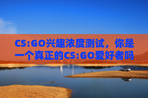 CS:GO兴趣浓度测试，你是一个真正的CS:GO爱好者吗？