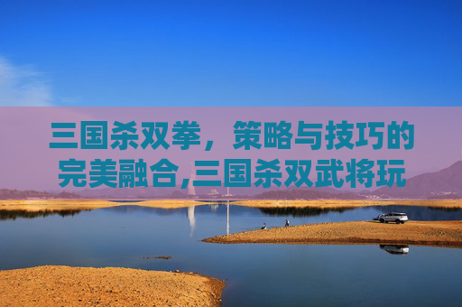 三国杀双拳，策略与技巧的完美融合,三国杀双武将玩法