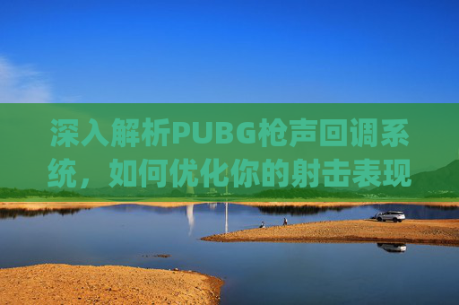 深入解析PUBG枪声回调系统，如何优化你的射击表现,pubg里面枪声音太大怎么调