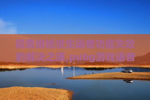探索绝地求生语音功能失效的解决之道,pubg游戏语音用不了