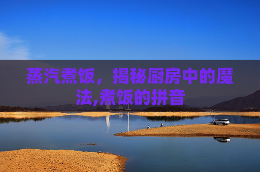 蒸汽煮饭，揭秘厨房中的魔法,煮饭的拼音